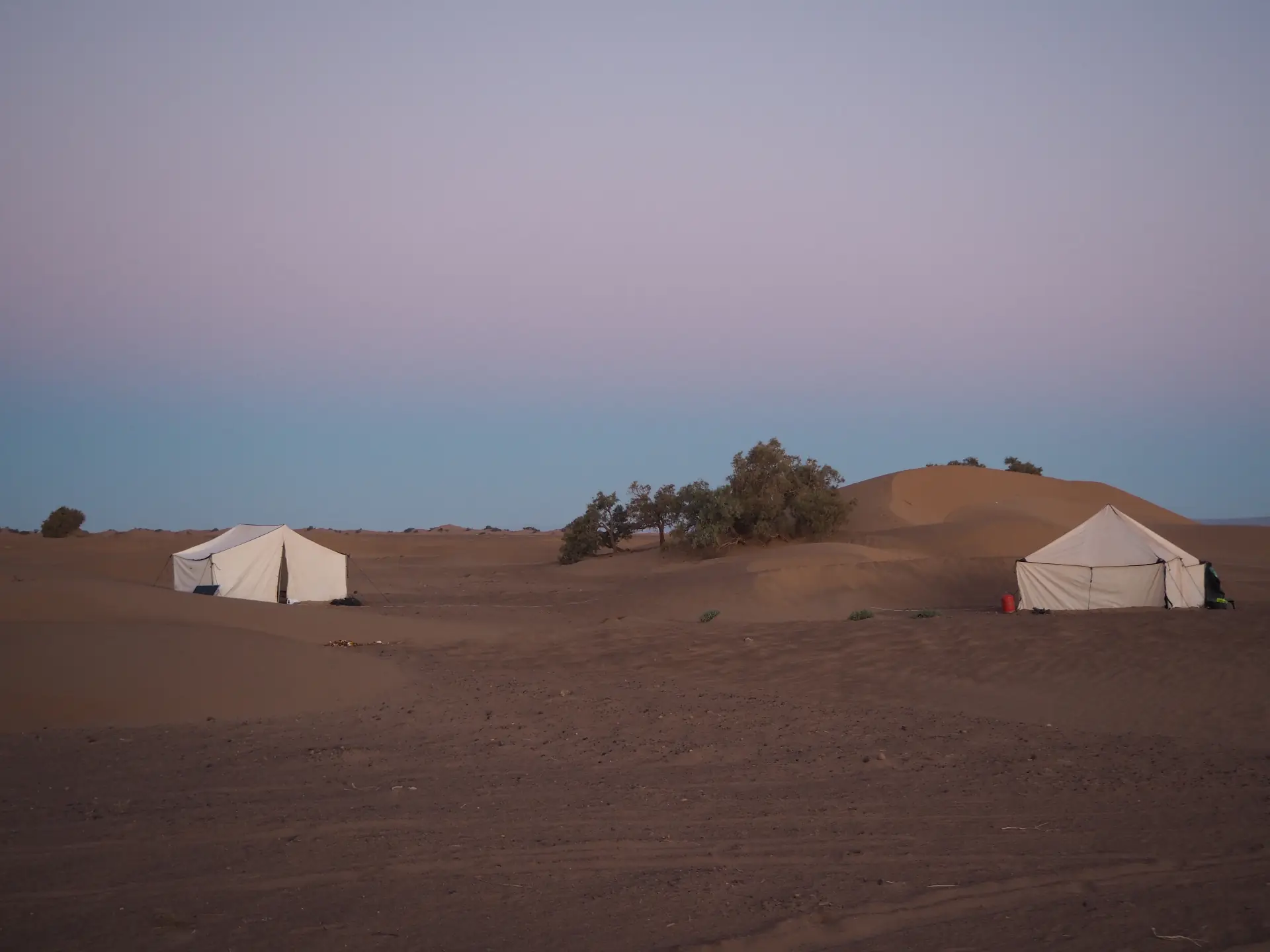 Bedouin tents at dusk in the Sahara